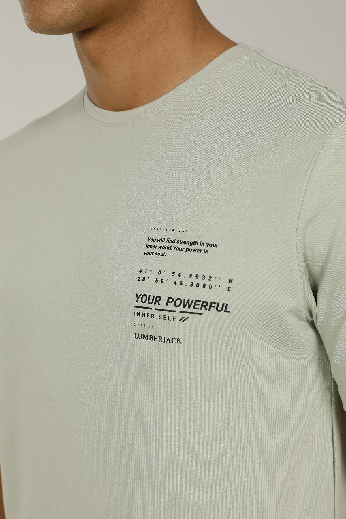 Lumberjack Erkek T-Shirt 101093873 Pastel Mınt