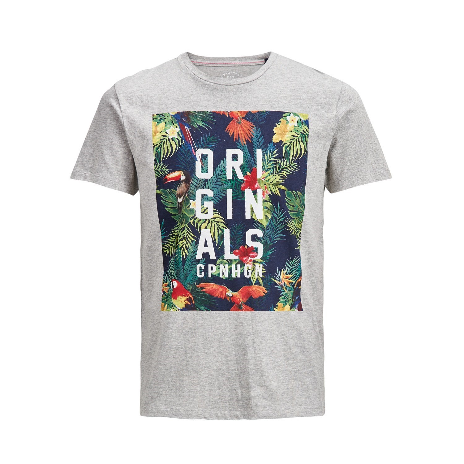 Jack Jones Erkek T-Shirt 12136561 Light Grey Melange