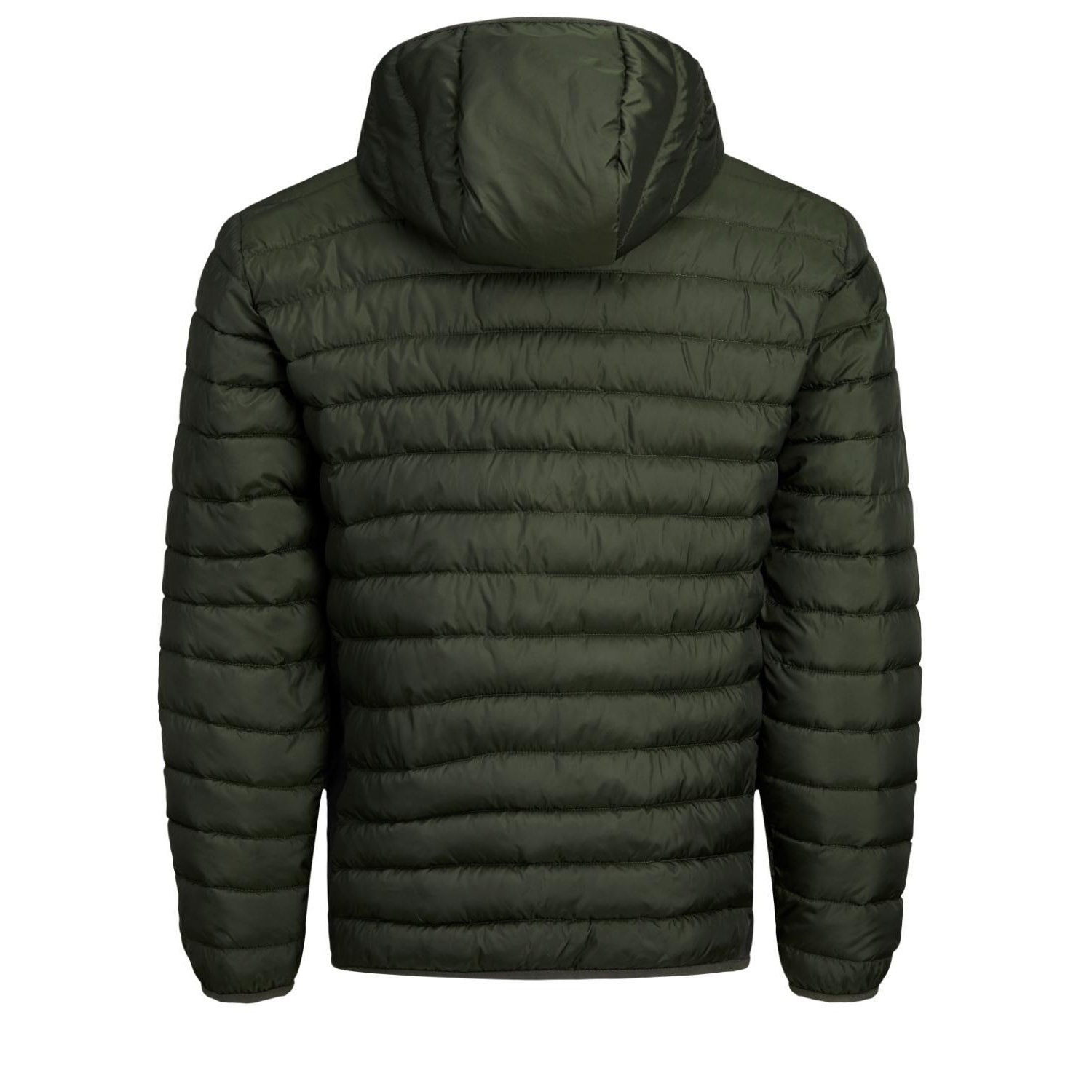 Jack Jones Erkek Ceket 12137833 Rosin