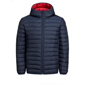 Jack Jones Erkek Ceket 12137833 Sky Captain