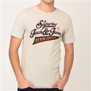 Jack Jones Erkek T-Shirt 12147765 White Melange