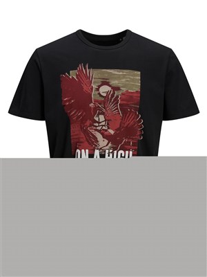 Jack Jones Erkek T-Shirt 12169114 Black