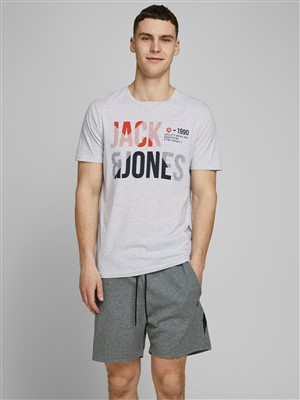 Jack Jones Erkek T-Shirt 12172215 White Melange