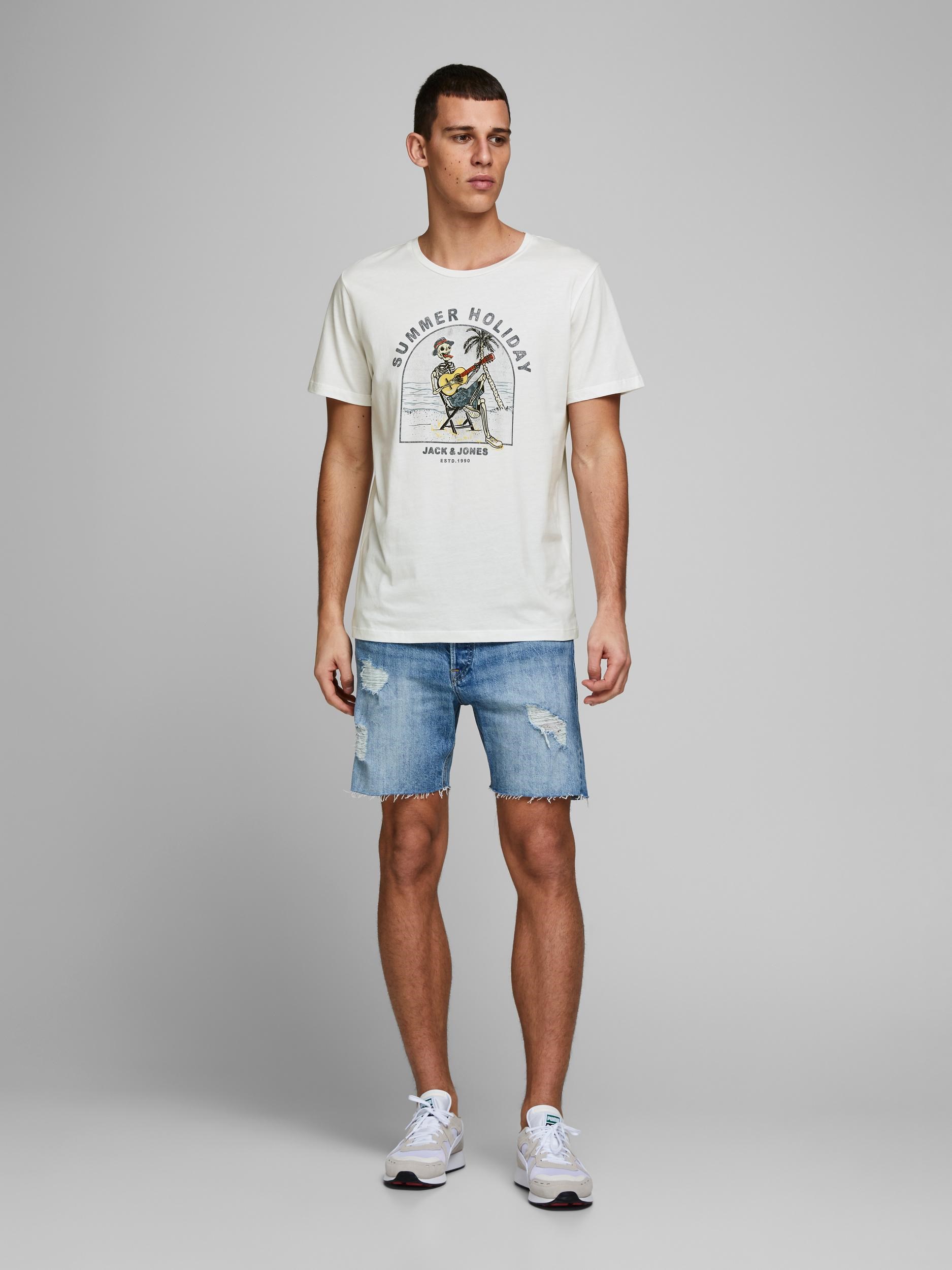 Jack Jones Erkek T-Shirt 12173024 Cloud Dancer