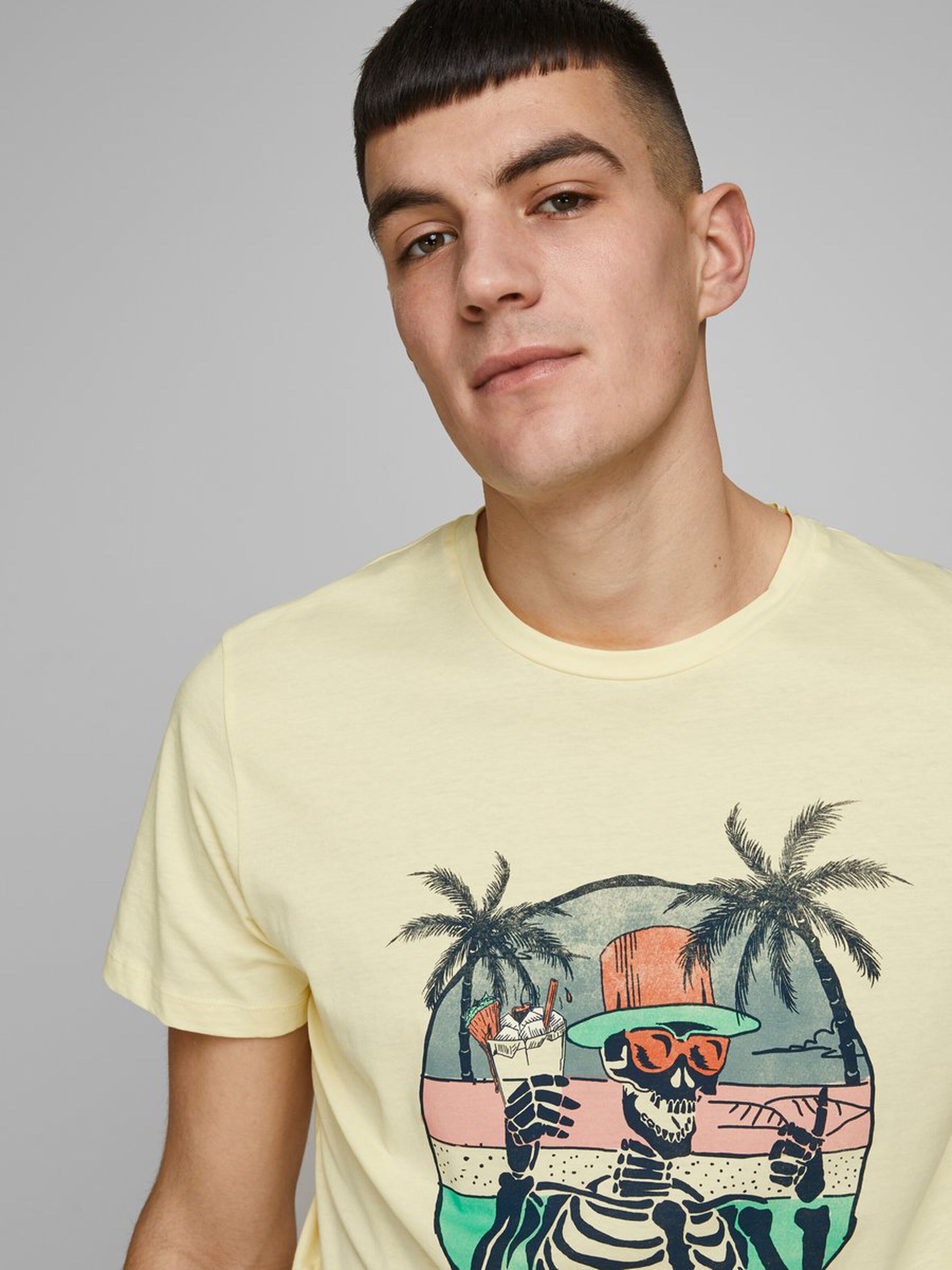 Jack Jones Erkek T-Shirt 12173024 Flan