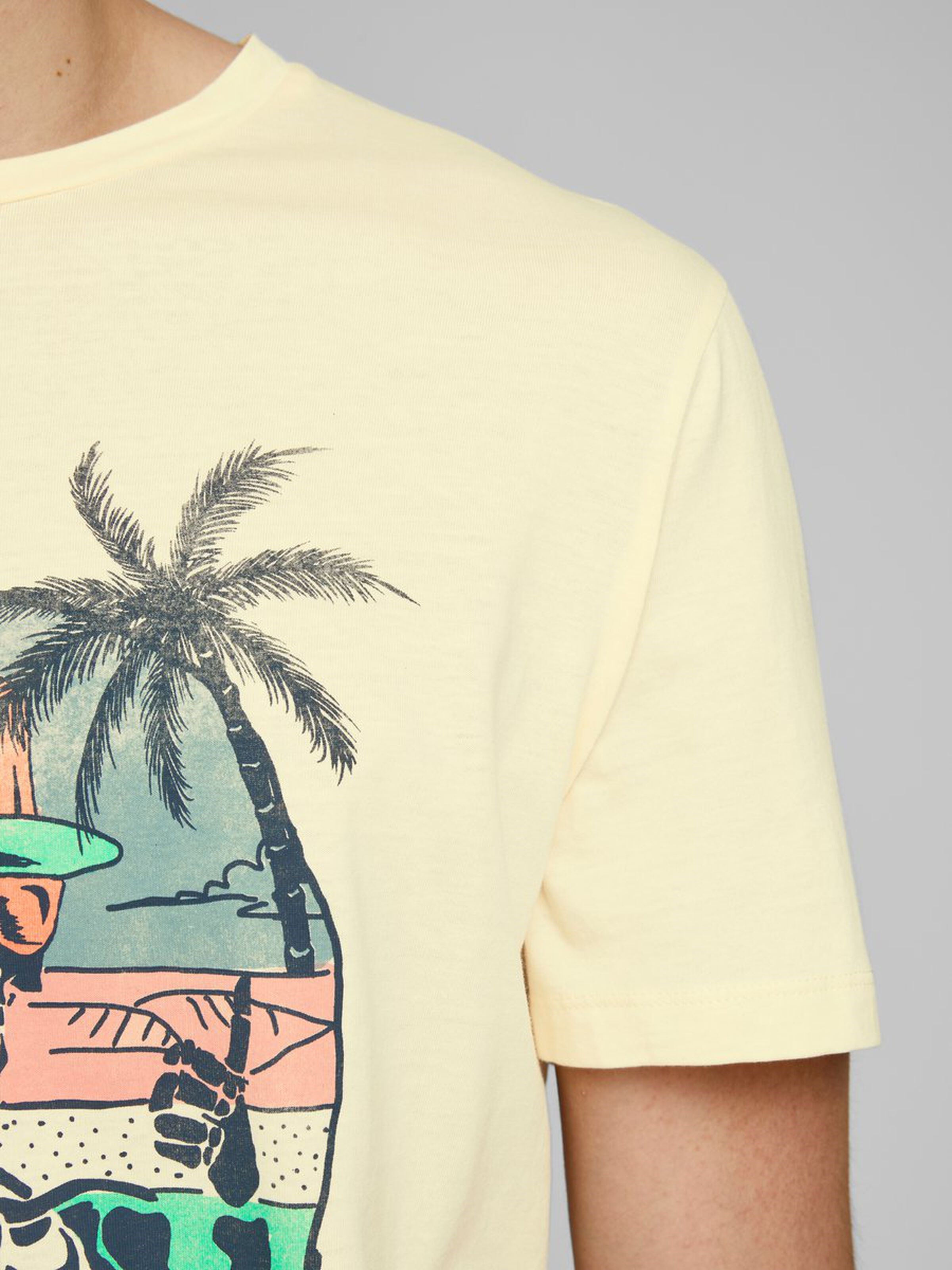 Jack Jones Erkek T-Shirt 12173024 Flan