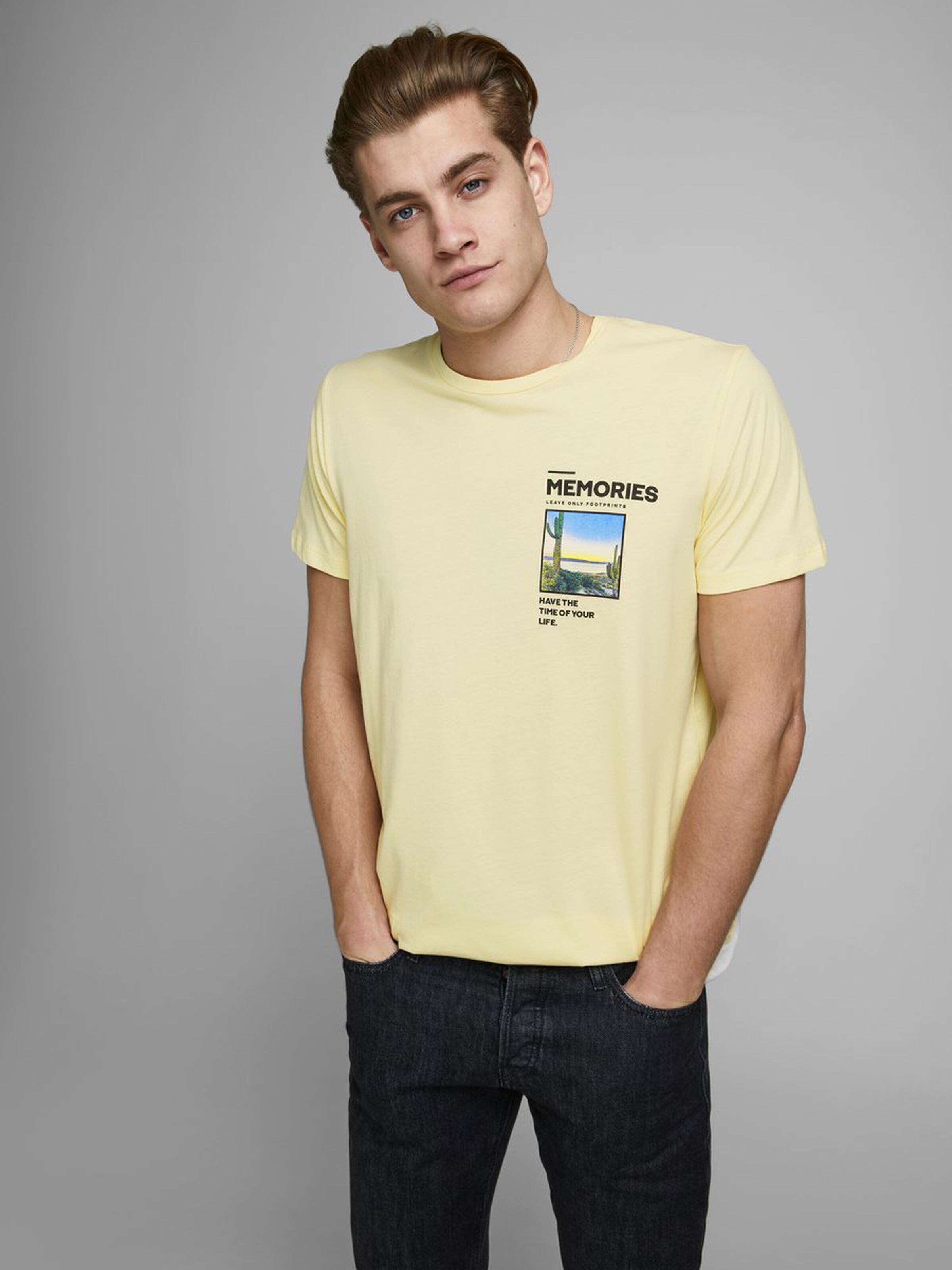 Jack Jones Erkek T-Shirt 12173033 Flan