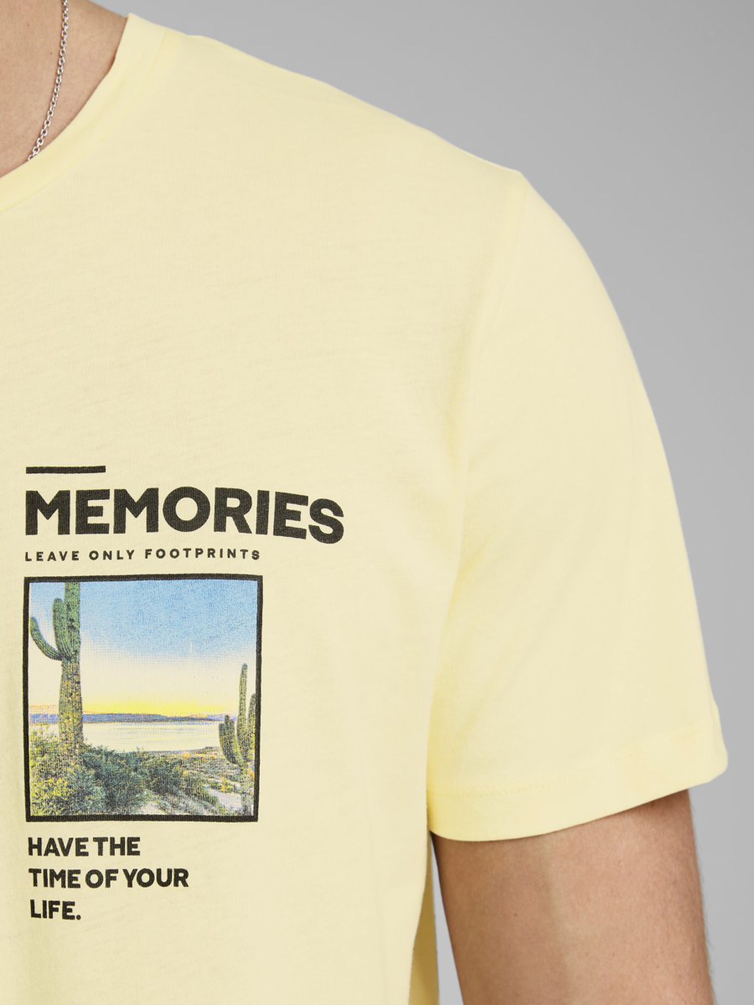 Jack Jones Erkek T-Shirt 12173033 Flan