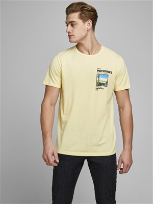 Jack Jones Erkek T-Shirt 12173033 Flan