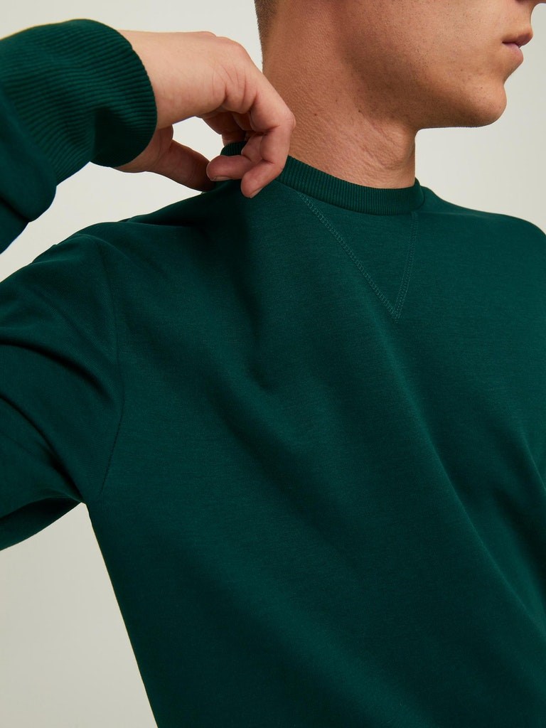Jack Jones Erkek S-Shirt 12181903 Pine Grove