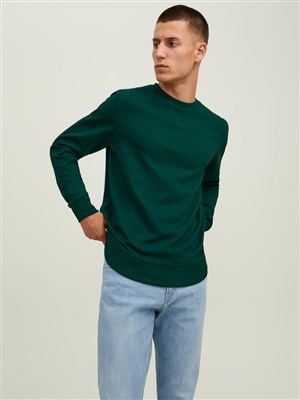 Jack Jones Erkek S-Shirt 12181903 Pine Grove