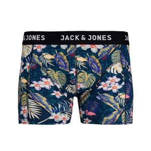 Jack Jones Erkek Boxer 12185394 Navy Blazer