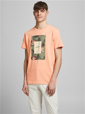 Jack Jones Erkek T-Shirt 12186330 Shell Coral