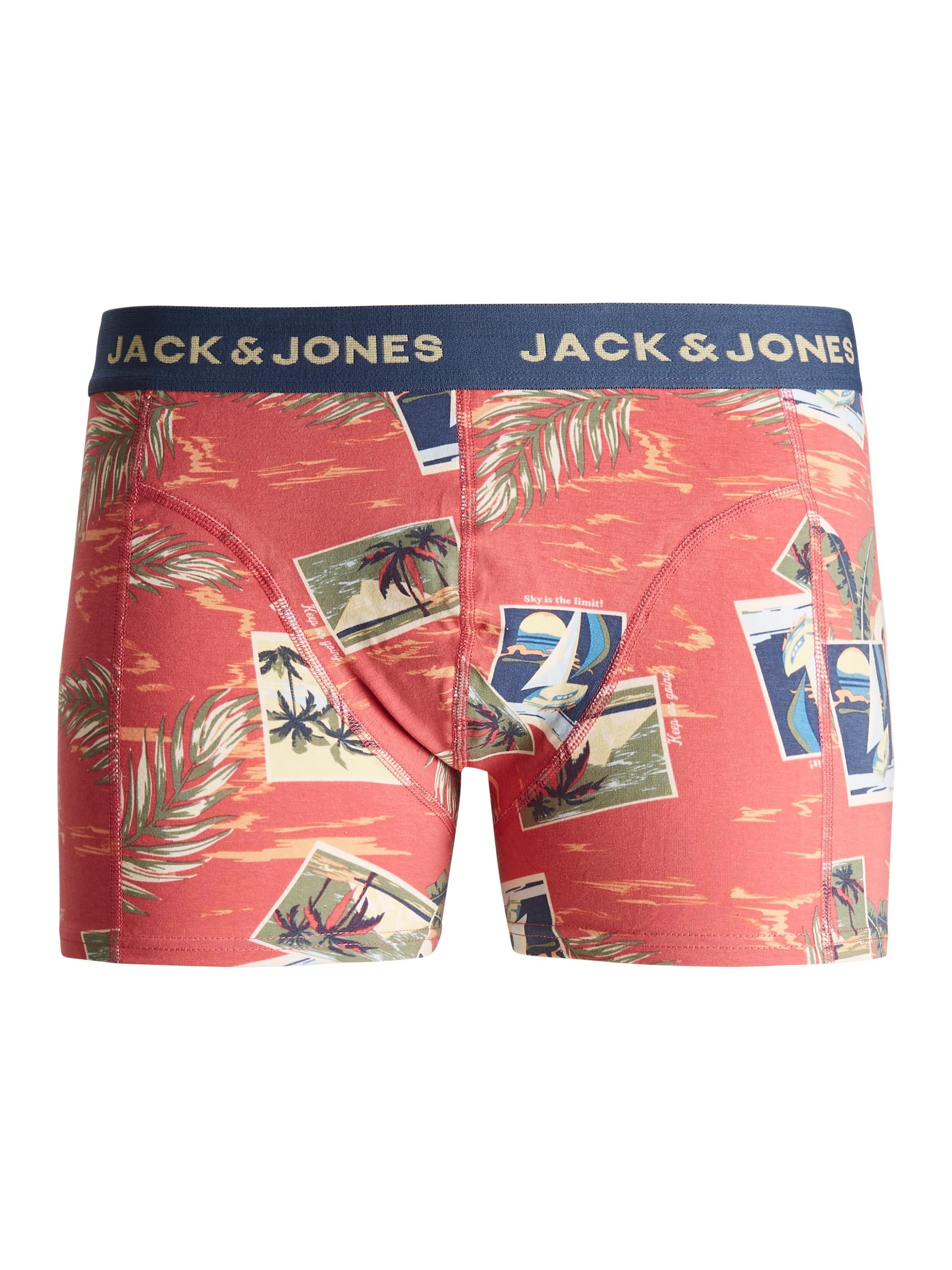Jack Jones Erkek Boxer 12189253 Slate Rose