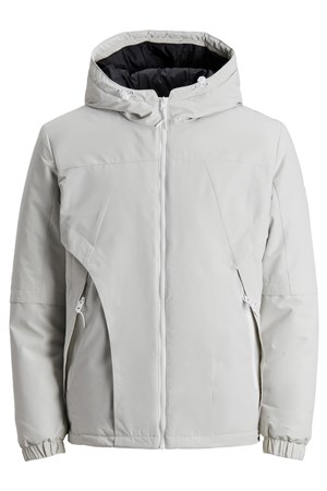 Jack Jones Erkek Ceket 12197766 Glacier Gray