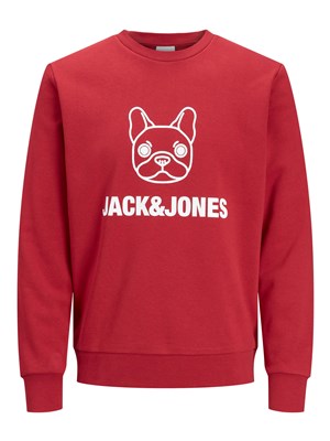Jack Jones Erkek S-Shirt 12201838 Rio Red