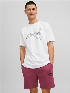 Jack Jones Erkek T-Shirt 12205417 White