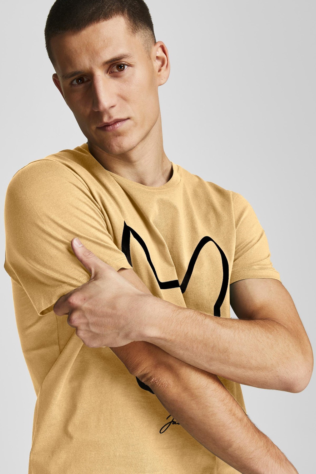 Jack Jones Erkek T-Shirt 12207693 Straw