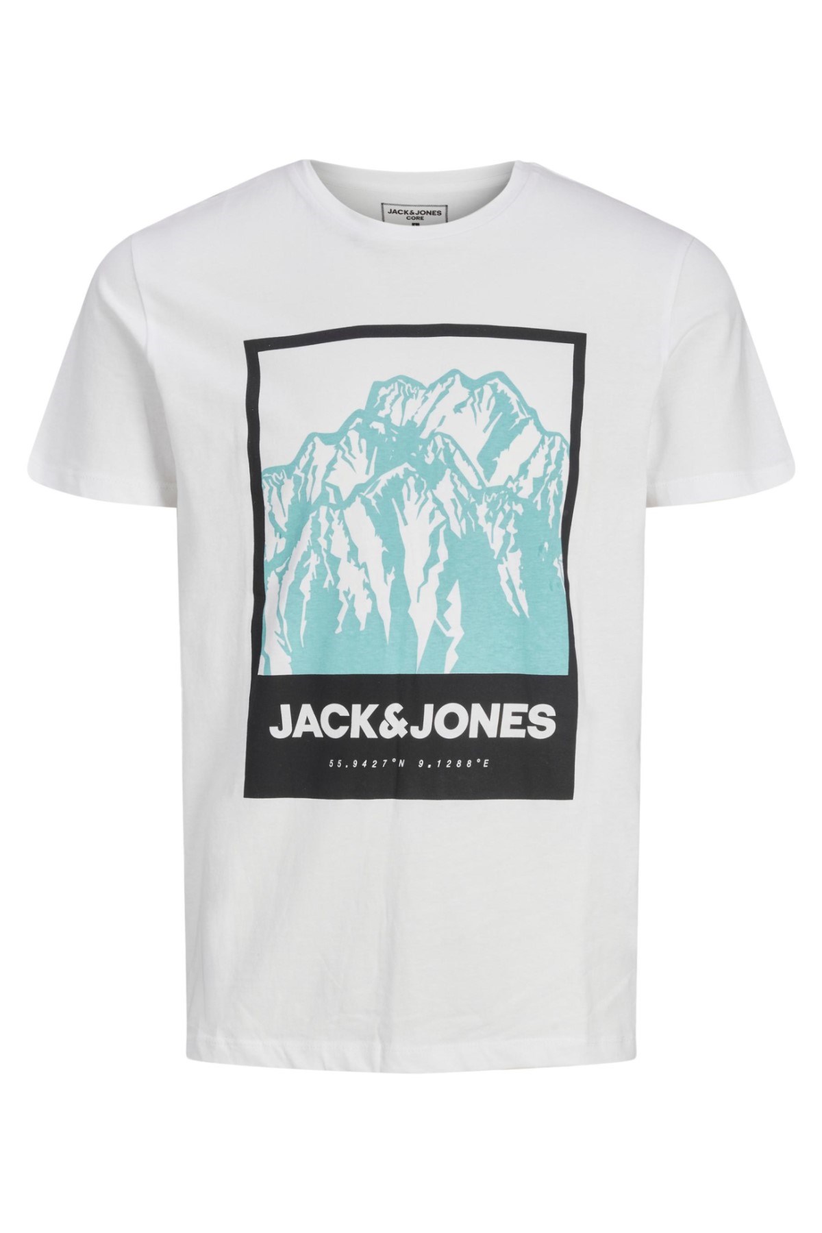 Jack Jones Erkek T-Shirt 12209200 White