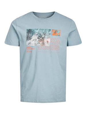 Jack Jones Erkek T-Shirt 12209200 Faded Denim