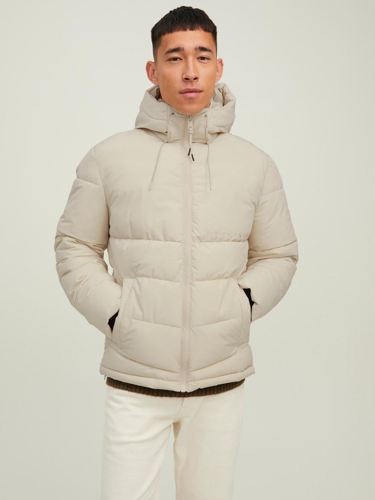 Jack Jones Erkek Ceket 12215130 Moonbeam