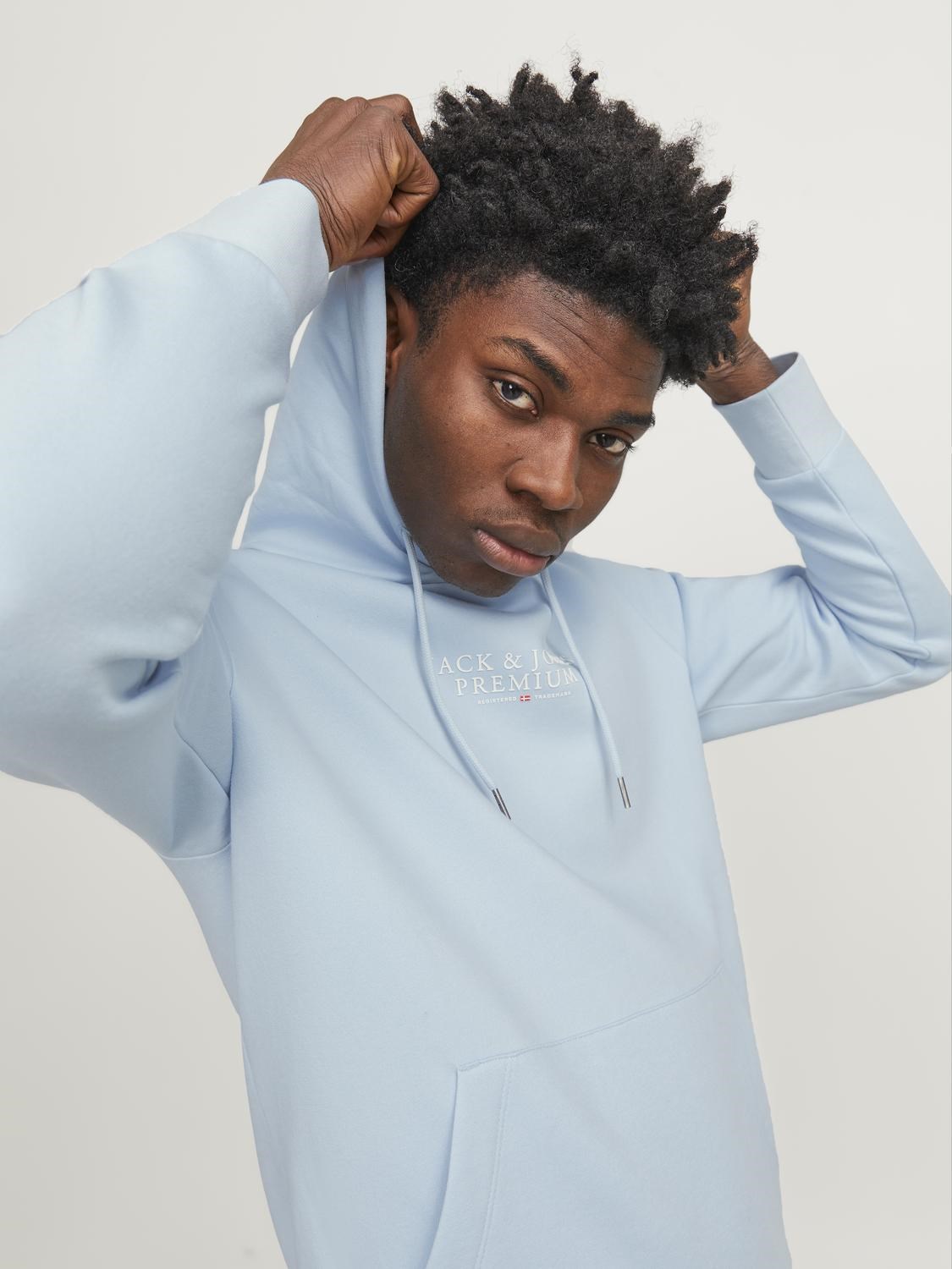 Jack Jones Erkek S-Shirt 12216335 Skyway