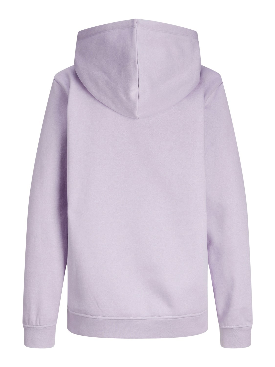JJXX Kadın S-Shirt 12223961 Lilac Breeze