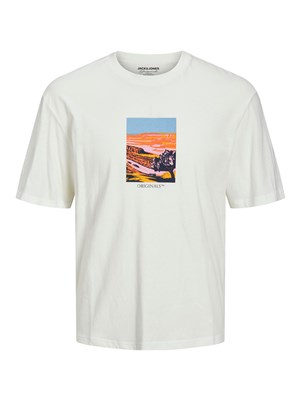Jack Jones Erkek T-Shirt 12230734 Cloud Dancer