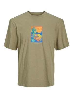 Jack Jones Erkek T-Shirt 12230734 Silver Sage