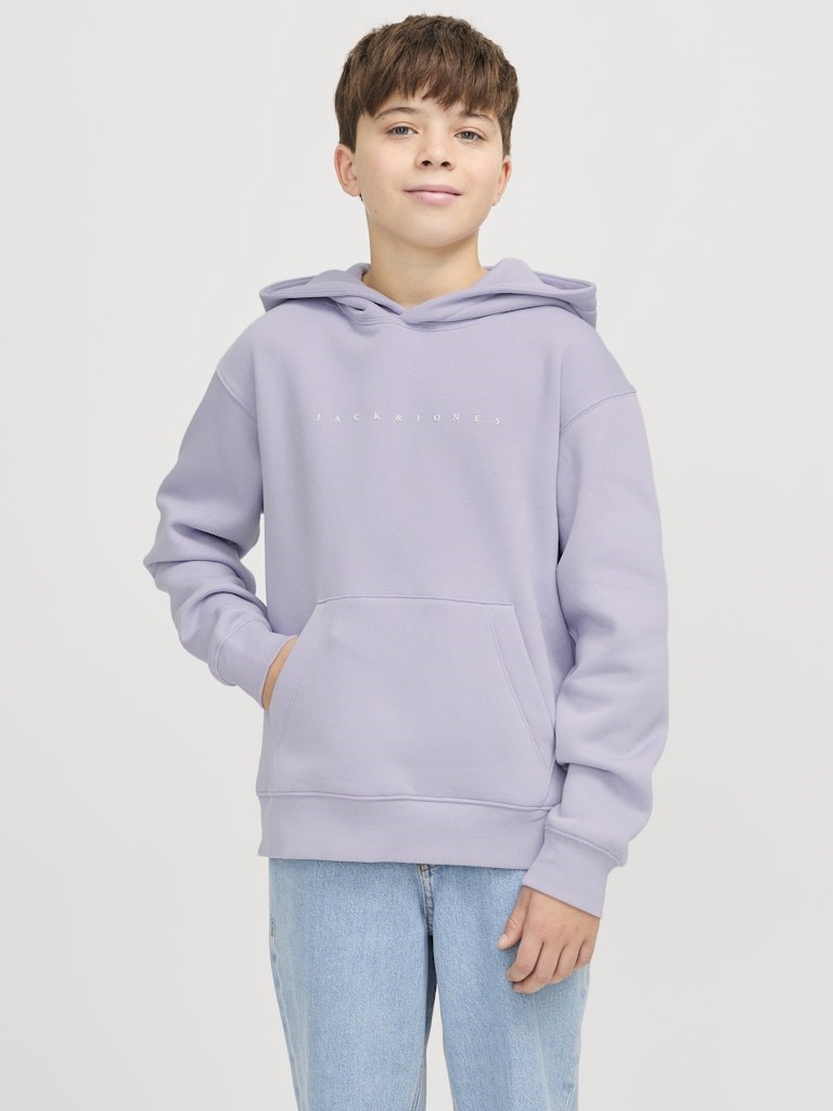 Jack Jones Erkek Çocuk S-Shirt 12237468 Languid Lavender