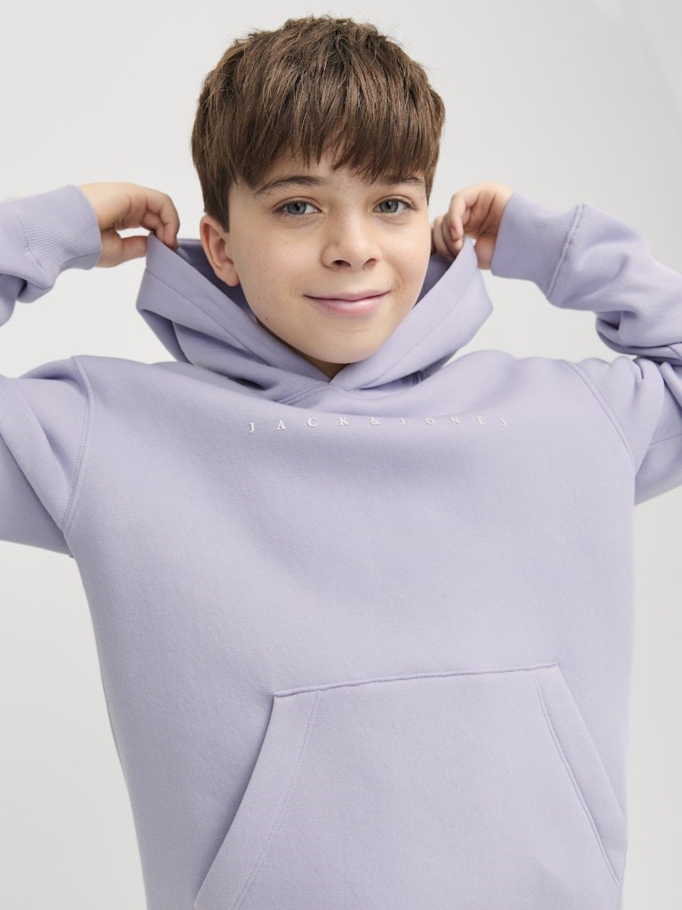 Jack Jones Erkek Çocuk S-Shirt 12237468 Languid Lavender