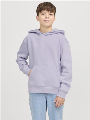 Jack Jones Erkek Çocuk S-Shirt 12237468 Languid Lavender