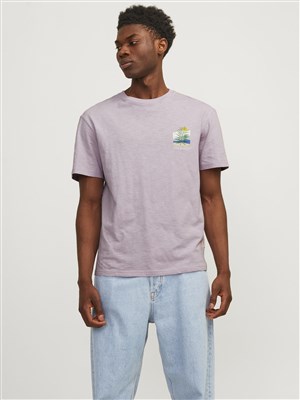 Jack Jones Erkek T-Shirt 12256215 Lavender Frost