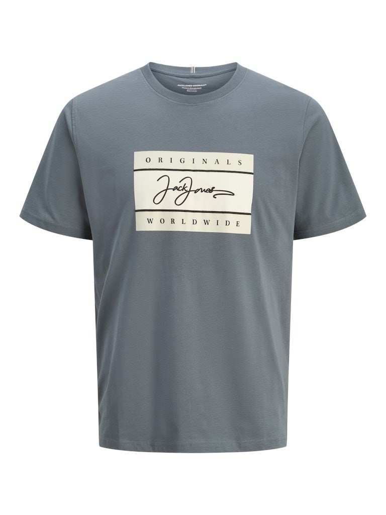 Jack Jones Erkek T-Shirt 12278266 Stormy Weather
