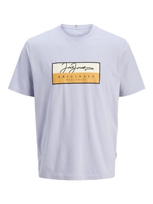 Jack Jones Erkek T-Shirt 12278266 Cosmic Sky