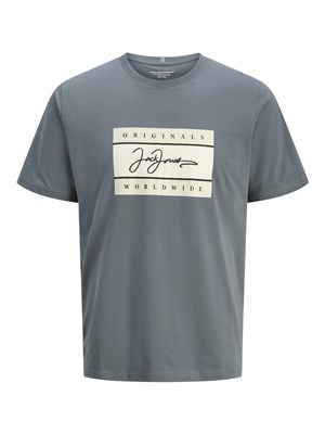 Jack Jones Erkek T-Shirt 12278266 Stormy Weather