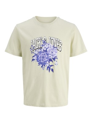 Jack Jones Erkek T-Shirt 12286056