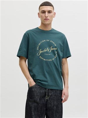 Jack Jones Erkek T-Shirt 12288377