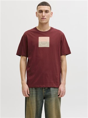 Jack Jones Erkek T-Shirt 12290856