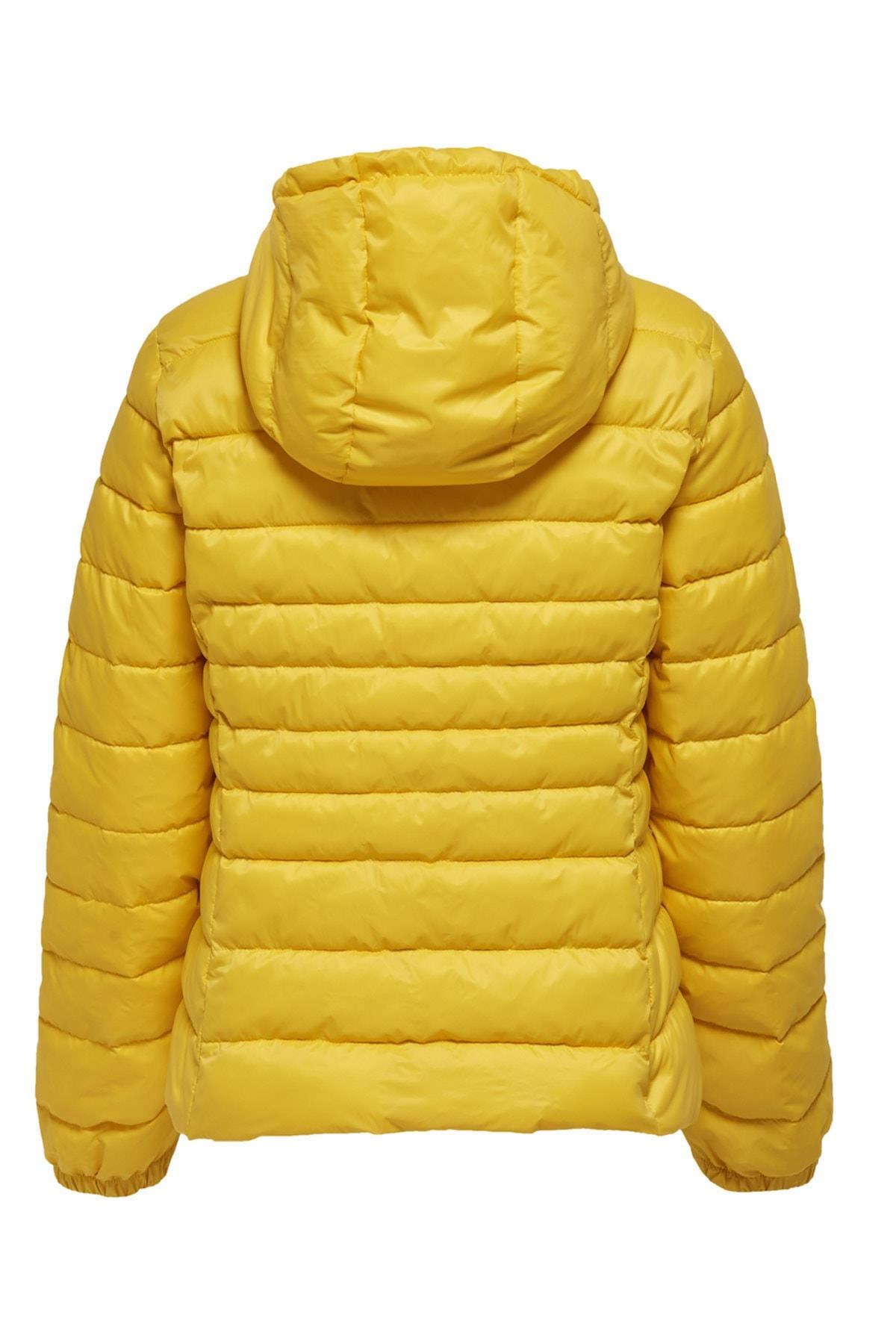 Only Kadın Ceket 15205758 Lemon
