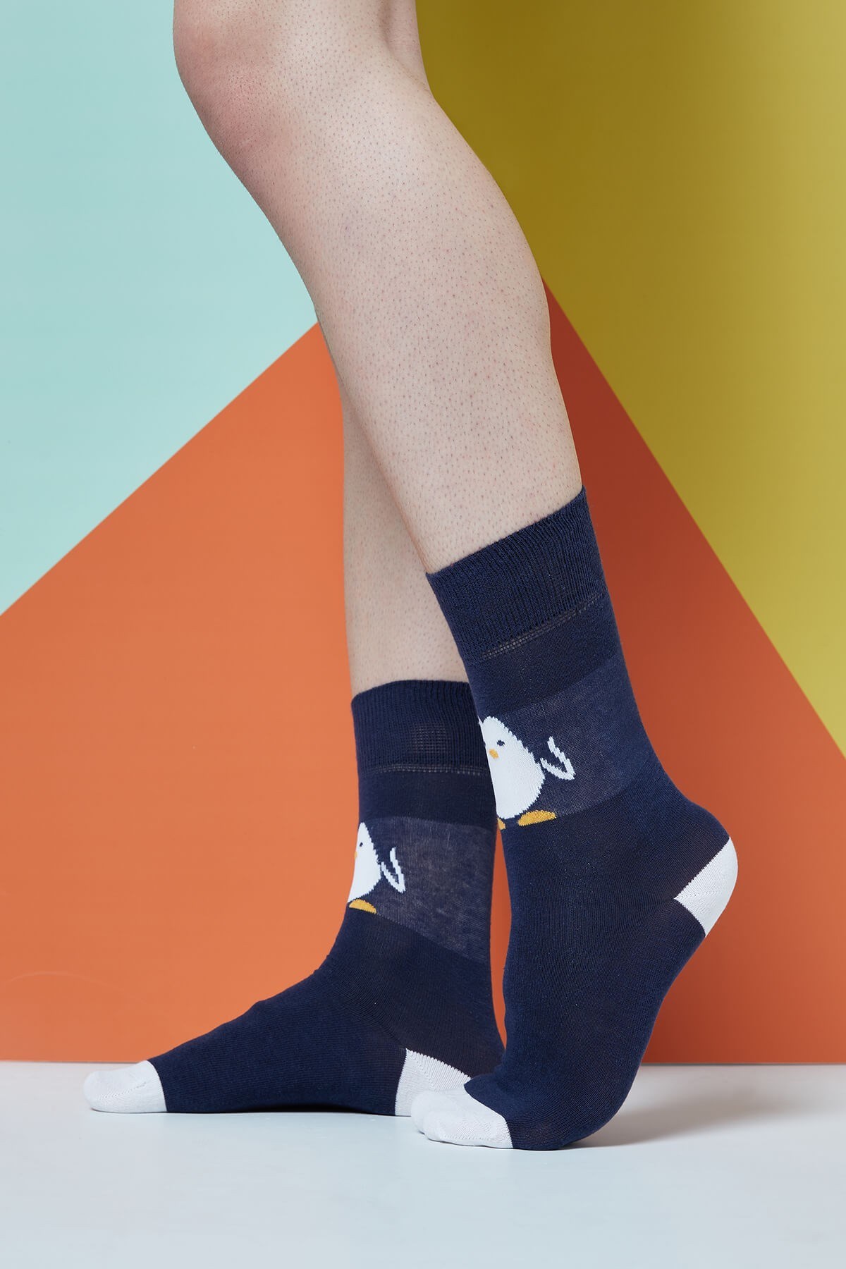 The Socks Company Erkek Çorap 15KDCR130E Çok Renkli