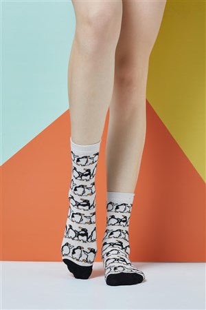 The Socks Company Kadın Çorap 15KDCR723K Çok Renkli