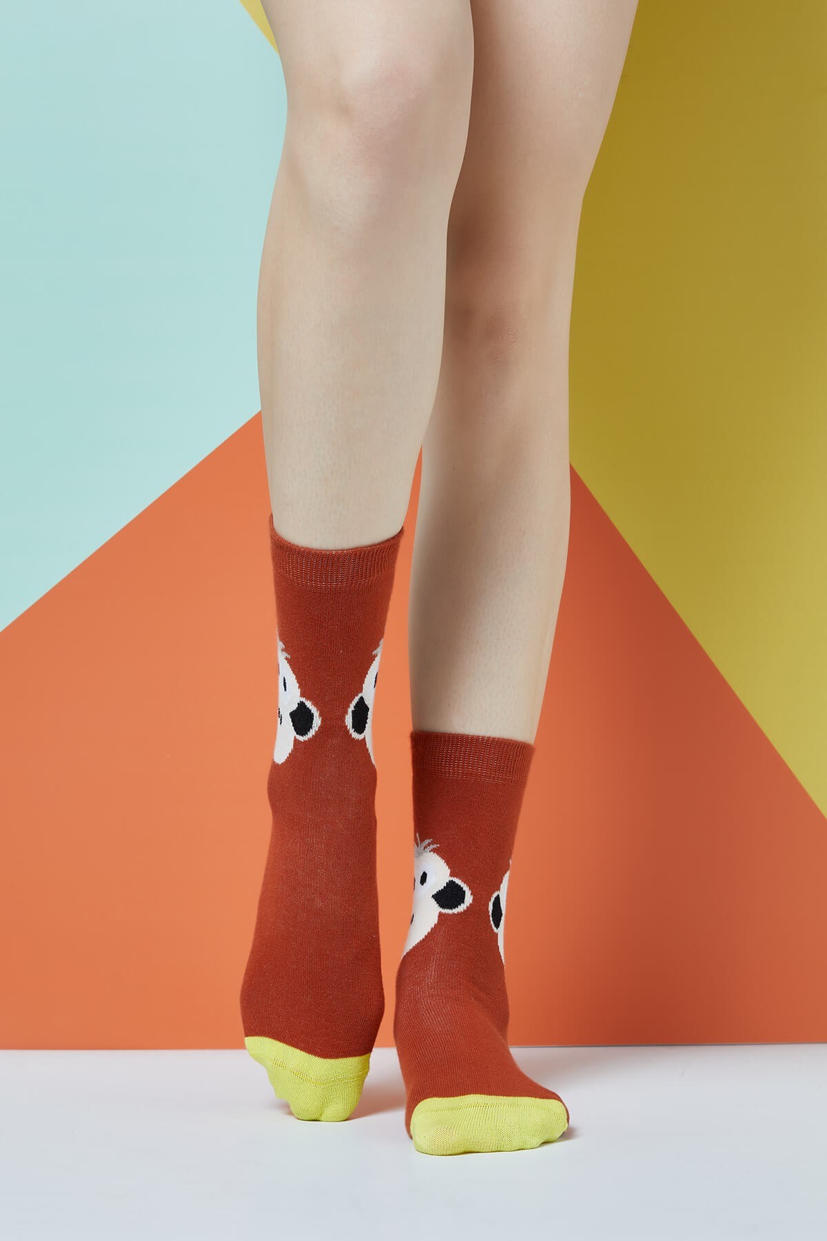 The Socks Company Kadın Çorap 15KDCR741K Çok Renkli
