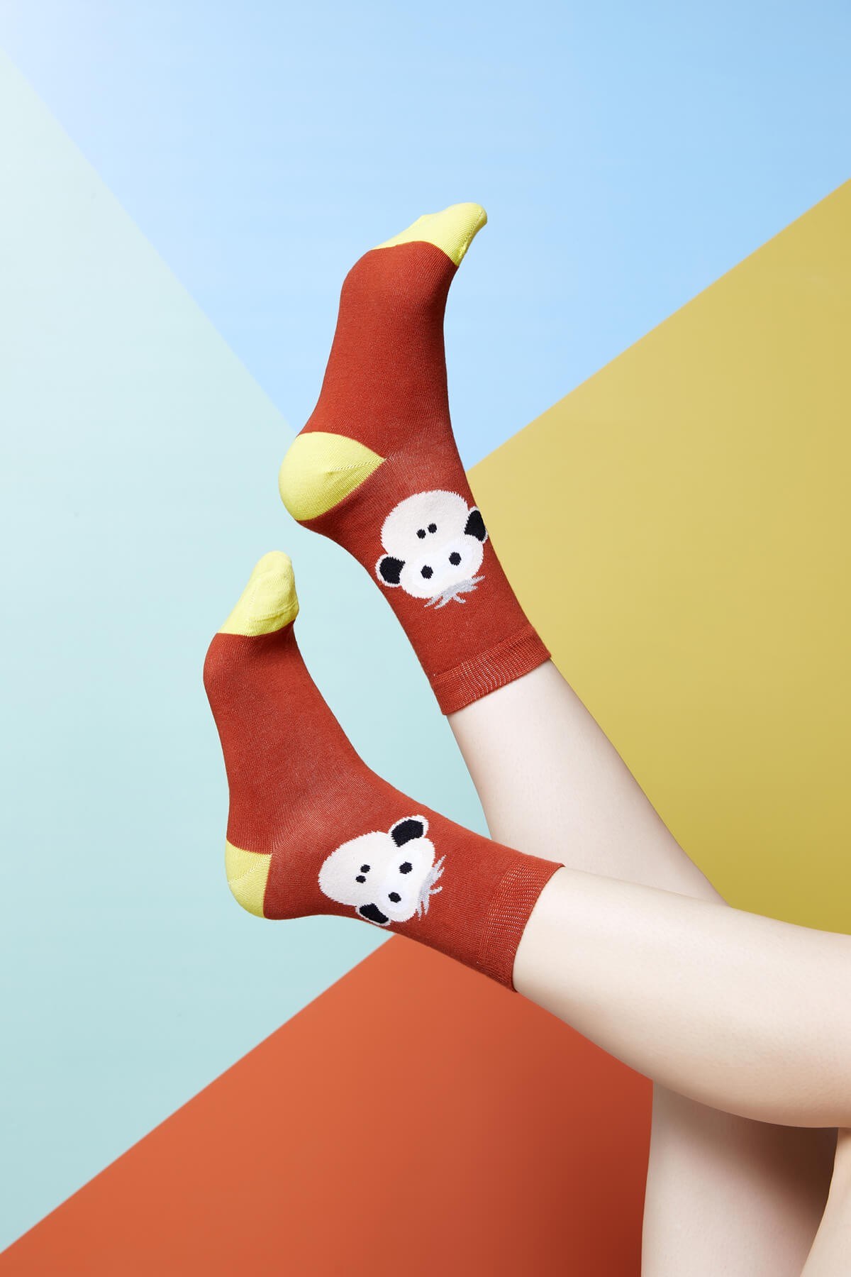 The Socks Company Kadın Çorap 15KDCR741K Çok Renkli
