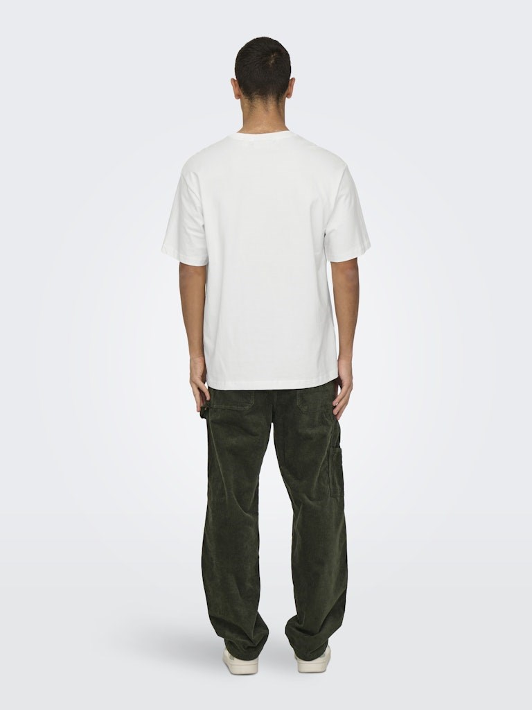 Only & Sons Erkek T-Shirt 22030925 Cloud Dancer