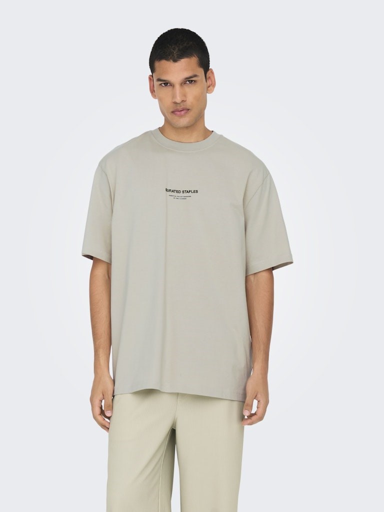 Only & Sons Erkek T-Shirt 22030925 Silver Lining