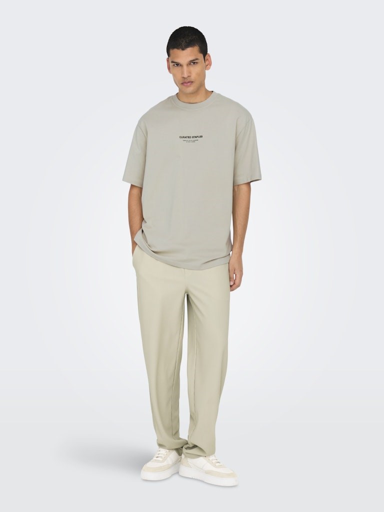 Only & Sons Erkek T-Shirt 22030925 Silver Lining