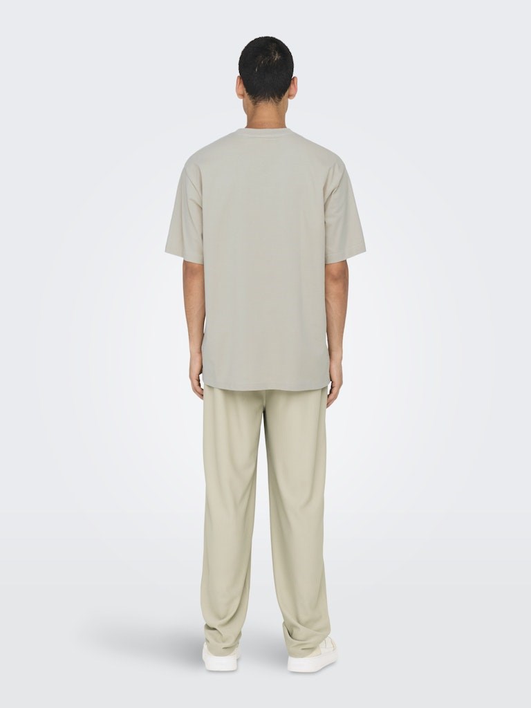Only & Sons Erkek T-Shirt 22030925 Silver Lining