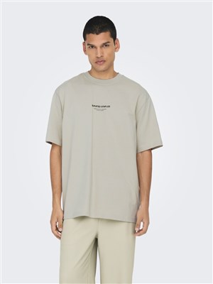 Only & Sons Erkek T-Shirt 22030925 Silver Lining