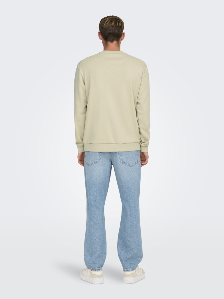 Only & Sons Erkek S-Shirt 22031838 Silver Lining